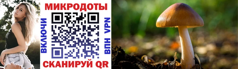 Галлюциногенные грибы мицелий  Отрадное 