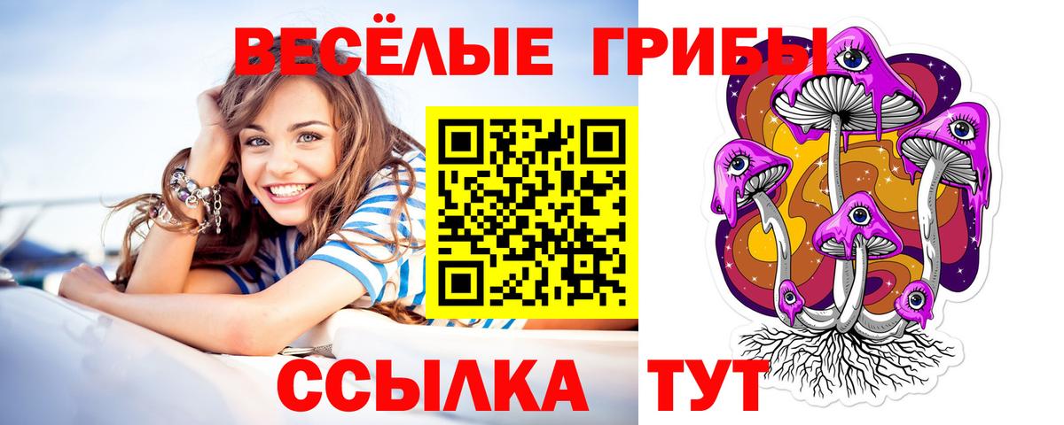 Псилоцибиновые грибы Psilocybe  Галлюциногенные грибы GOLDEN TEACHER  Отрадное  Вход с VPN 